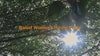 Laureate UPF50+ DWR Hiking Pants (Original)